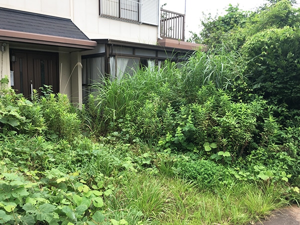 管理の負担を減らせる